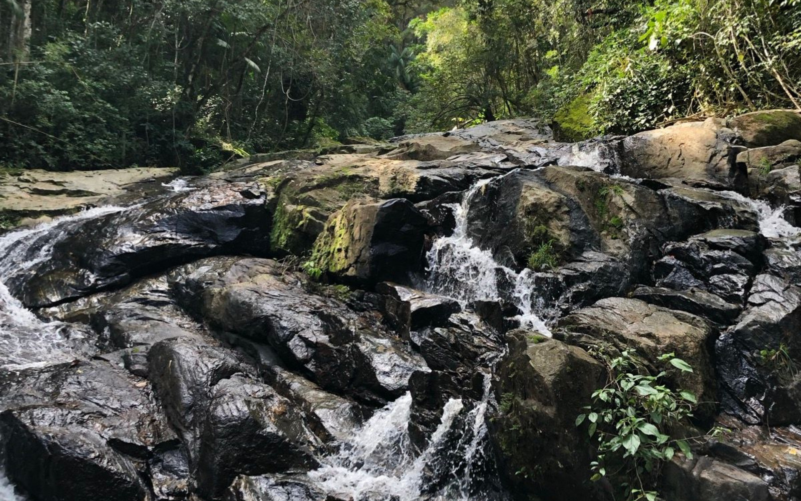 Arena do evento com comunidade e parceiros
